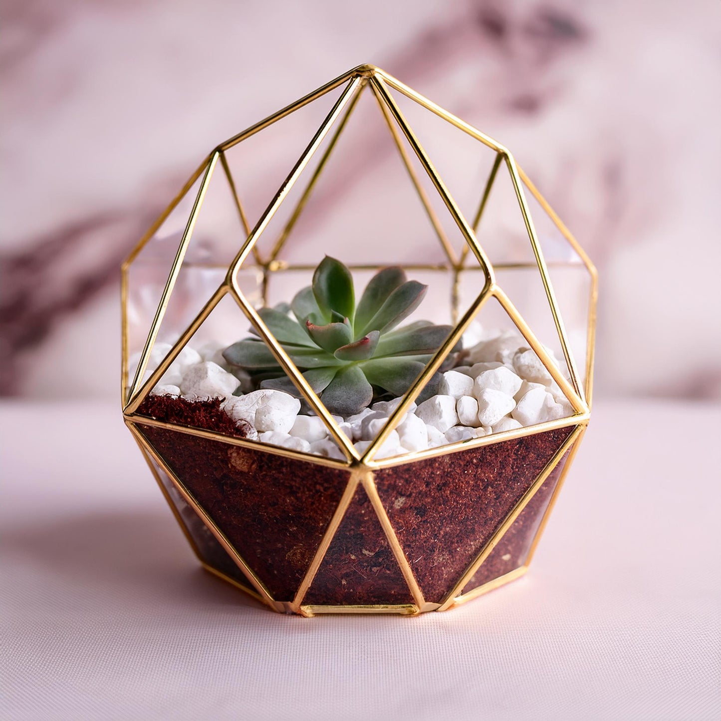 Nora Mini Arrangement