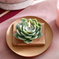 Handmade Aromatherapy Cactus Shaped Candle