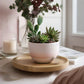 Talia Arrangement